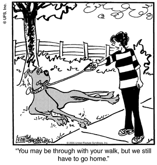 marmaduke